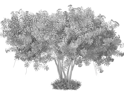 Outdoor garden plant tree shrub flower bed with lilac flowers 3D model