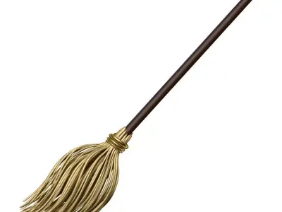 Broom with wooden handle 3D model
