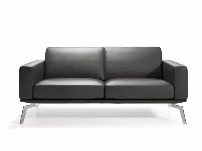 DS 87 2 Seater Sofa 3D model