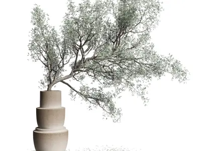 Olive tree in an old earthenware vase indoor collection 266 3D model