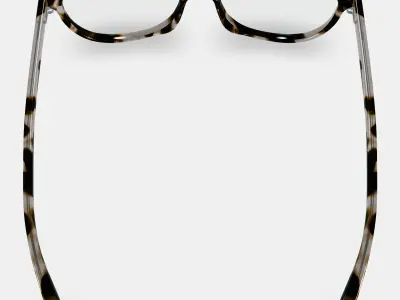 Nadia Eyeglasses in Opal Tortoise 3D model