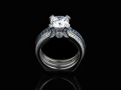 Interchangeable Ring 3D print model