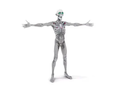 Alien Skeleton Model Pack with Luminous Eyes Low-poly 3D model