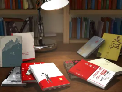Books  unconventionally  bookshelf  desk lamp 3D model