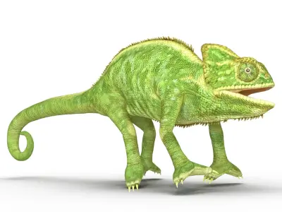  Chameleon Rigged for Cinema 4D 