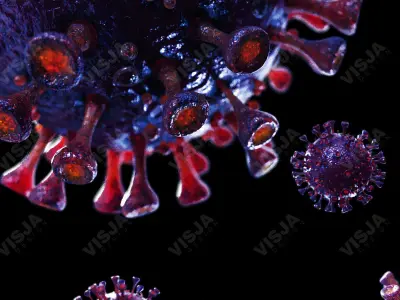 Coronavirus SARS-CoV-2 - Violet -SCENE Low-poly 3D model