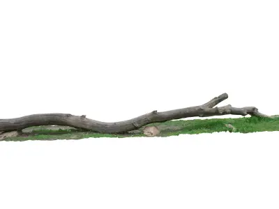 Tree trunk bench long Low-poly 3D model