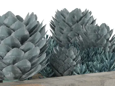 Customizable Succulent Garden Square Planter 3D Model Low-poly 3D model