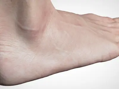  Feet Realistic 