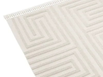 Labyrinth Hilo Tufted Rug 3D model