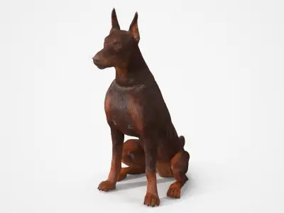  Brown Doberman Pinscher Sits Fur for Maya 