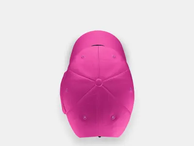 PALACE GARMENT DYED TRI-FERG PATCH PURPLE 3D model