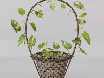 Basket Pothos Low-poly 3D model