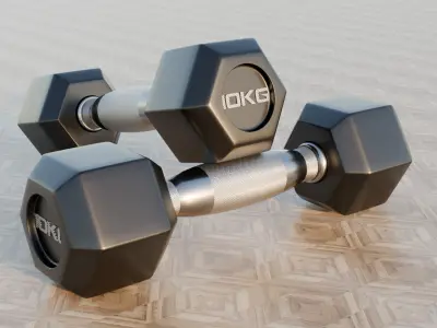 Dumbells 5-30KG  3D model
