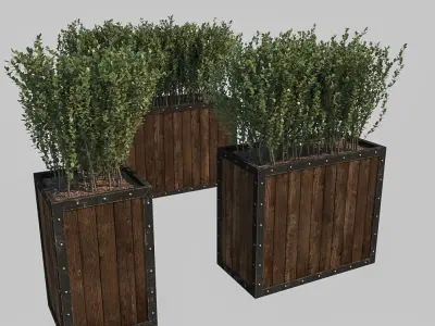 Street bush in a box I 3D model