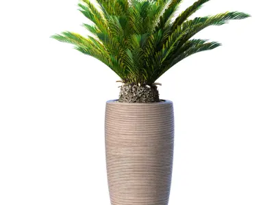 Decorative evergreen Cycas palm modern high floor vase Art Deco 3D model