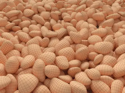 Stone pebbel 3D model