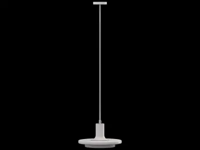 Double Circle Pendant Light 3D model