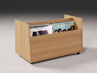 Vinyl Storage No51 3D model