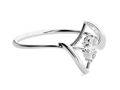 Ring - 39 3D print model purchase