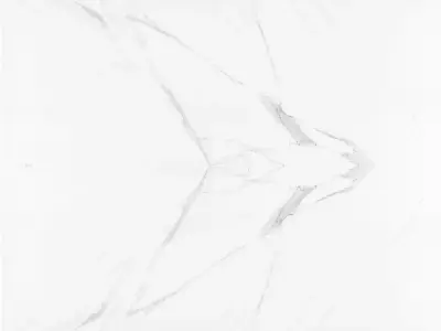 Pure White Marble with Linear Veins  Texture