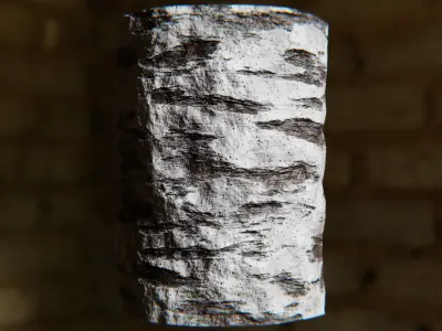 Procedural White Birch Bark Texture - Seamless PBR Material Texture