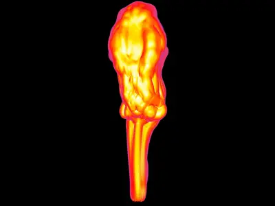 Fire Flame Lamp 3D print model