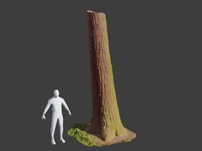 Redwood Pine Conifer Trunk 3D PhotoScan Realistic  Free low-poly 3D model