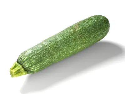 Zucchini  Courgette - Photorealistic  Scan Low-poly 3D model