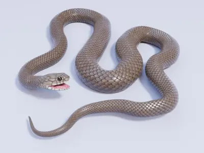  Animated Eastern Brown Snake 