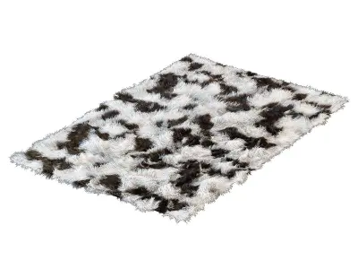 Carpets shag rug 3D model