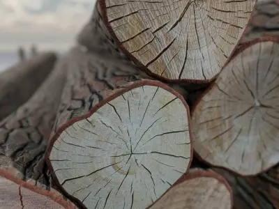 Log Pile 3D model - Pine Oak Wood Decks in Low-poly Game Ready Low-poly 3D model