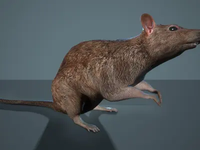  Rat 12-animations Game ready props Low-poly 