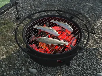  Whole Cod Placed on Charcoal Grill Grate 
