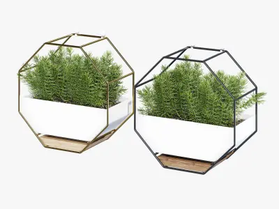 Ivolador octagonal planter with plants in it 3D model