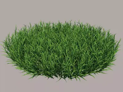Fine Fescues 3D model