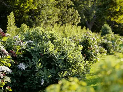  Mediterranean garden plants - Include GrowFX and Mesh file 