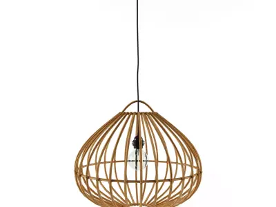 Rustic Hanging Lamp Natural Bamboo Cane Drop 3D model