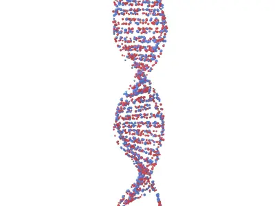 DNA Molecule v4 006 3D model