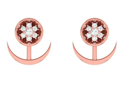 Light wt Women Diamond Earrings  3D print model