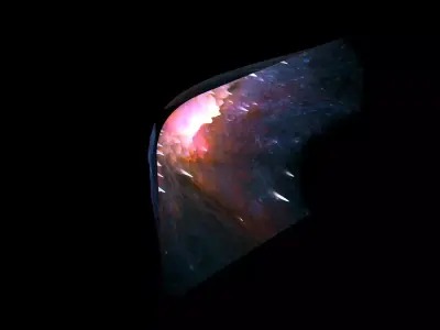 Henize 2-10 3D model