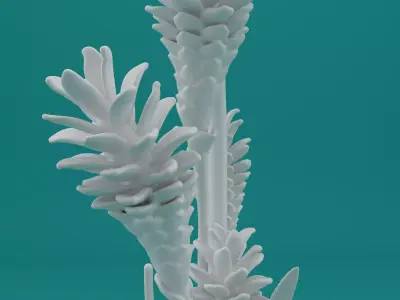Ginger Plant Model for 3D Printing 3D print model