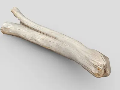 Dead Wood 4 Low-poly 3D model