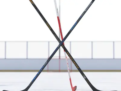 Hockey Court 3D model