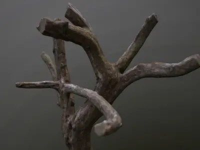 Topped Tree Low-poly 3D model