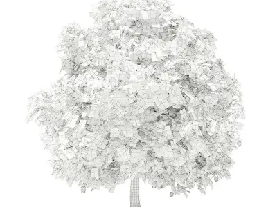 Mango Tree with Fruits 3D model