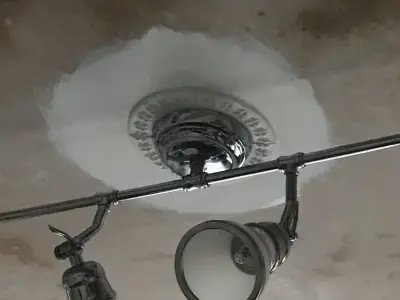 Ceiling Rose 3D print model