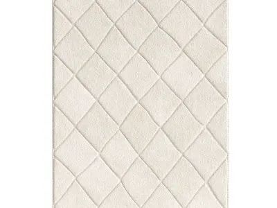 Leah Shag Rug 3D model