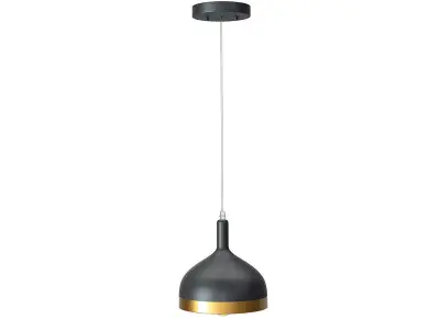 Aldershaw Pendant Lamp Free 3D model