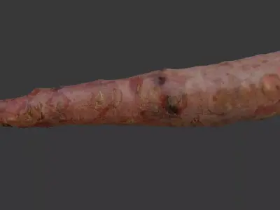  Uprooted Tree Root Scan Low-poly 3D model